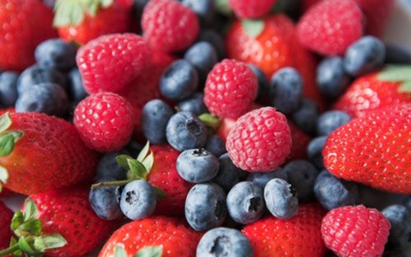 Epatite A: chiesta rogatoria a Canada, Polonia e Ucraina per i frutti di bosco