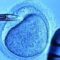 Ingegneria genetica, nasce il primo bambino col Dna di tre genitori