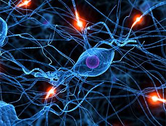 Malattie neurologiche, cellule della pelle trasformate in cellule nervose