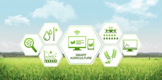 Da Engineering una soluzione per la Smart Agriculture