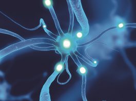 ESET scopre LightNeuron, backdoor che ha il controllo del server di posta Microsoft Exchange
