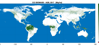 Capgemini supporta l’ESA nell’esplorazione delle biomasse forestali dallo spazio