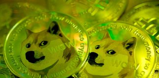 Cos’è Dogecoin, la moneta su cui scommette Elon Musk