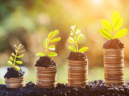 Investimenti sostenibili. Verso la nuova economia