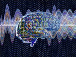 SAS leader nel Magic Quadrant 2021 for Data Science and Machine Learning Platforms