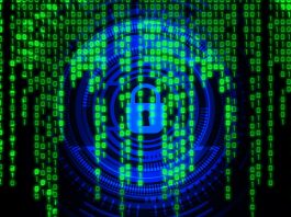 I danni alla sicurezza informatica delle PMI sono spesso causati dai dipendenti
