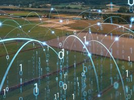 Minsait e la Fondazione Europea per l'Innovazione (INTEC) insieme per sviluppare l'ecosistema dell'innovazione per le aziende agroalimentari