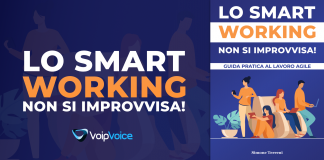 “Lo Smart Working non si improvvisa!”