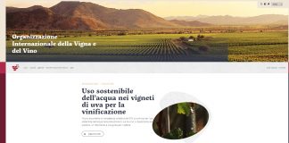 Minsait guida la trasformazione digitale dell'Organizzazione Internazionale della Vigna e del Vino