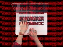 Il 58% delle aziende italiane ha subito un incidente cyber a causa di asset non gestiti correttamente
