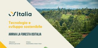 La foresta OSItalia su Treedom, coltiviamo insieme il nostro futuro