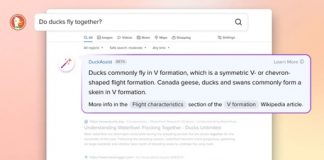 Non solo Bing, anche DuckDuckGo si lancia nella ricerca web con AI