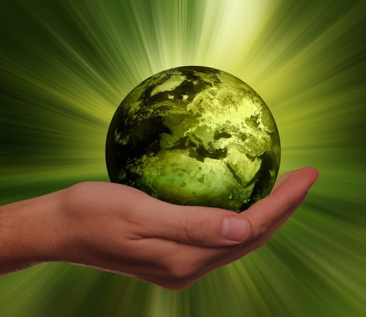 Capgemini conferma il suo impegno in ambito ESG aggiornando la propria policy e perseguendo obiettivi più ambiziosi