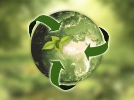 L’impatto ambientale del digitale, consapevolezza e comportamenti
