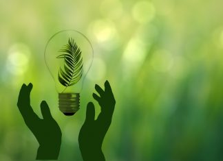 HWG Sababa presenta il primo bilancio di sostenibilità di gruppo: un nuovo passo nel percorso ESG Canon, pubblicati l'Integrated report 2024 e il report di sostenibilità 2024