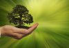 ComplFortinet presenta il 2025 Sustainability Reportce e supply chain, ERP e SRM al servizio dell’EUDR
