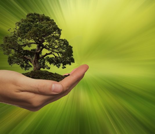 ComplFortinet presenta il 2025 Sustainability Reportce e supply chain, ERP e SRM al servizio dell’EUDR