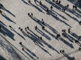 Così gli LLM possono supportare la creazione di dati sintetici e sicuri per il settore pubblico