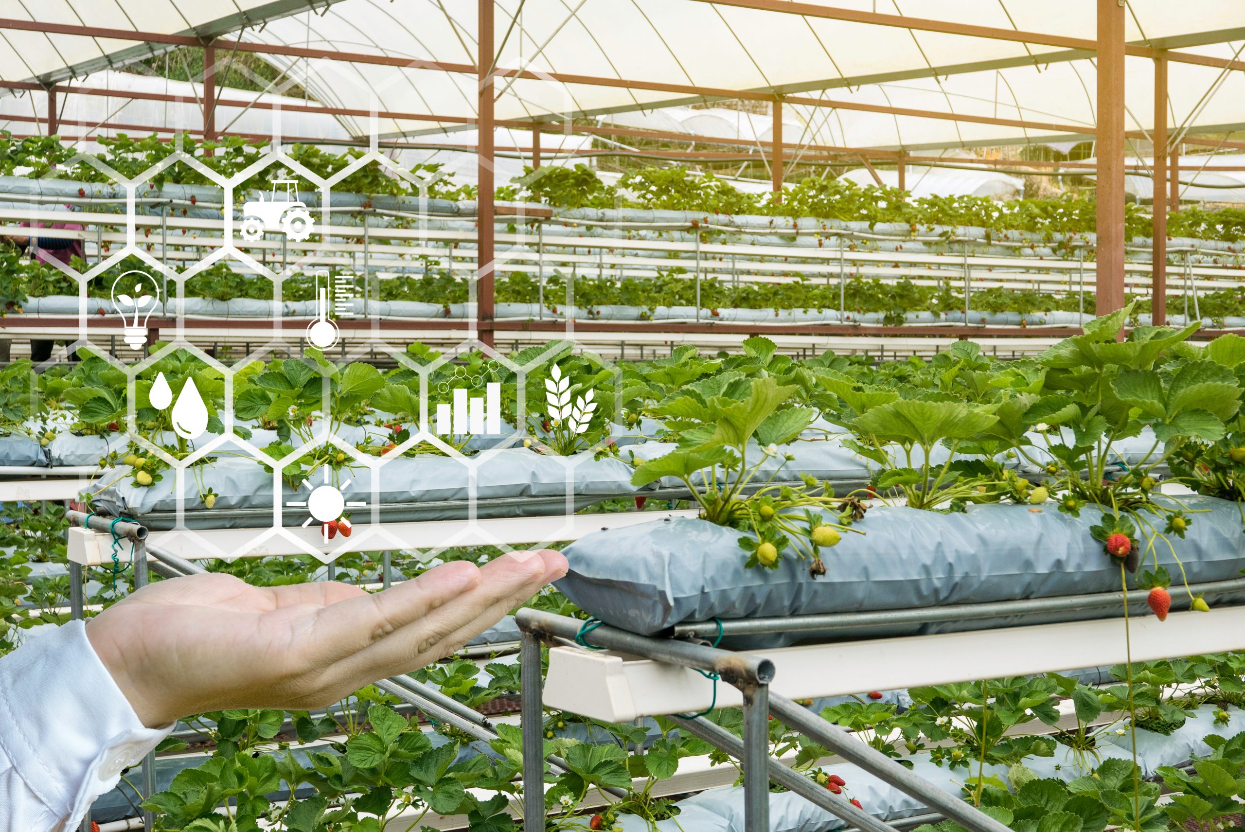 Sostenibilità e AI nel food Sostenibilità e AI nel food