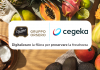 Cegeka e Gruppo Orsero accelerano la digitalizzazione della supply chain del fresco in Italia con Microsoft Dynamics 365